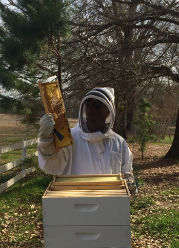 Beekeeper holding frame